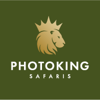 PhotoKing Safaris Logo