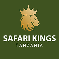 PhotoKing Safaris Logo